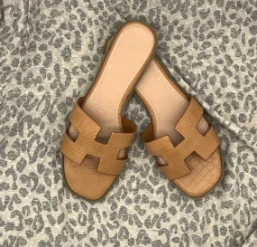 Camel H Slides