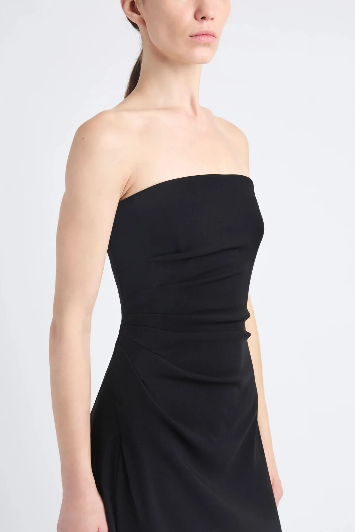 Proenza Schouler Shira Strapless Dress - Black
