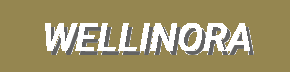 Exclusive Designer Sneakers, Luxe Loafers & More – Limited-Time Deals on Wellinora